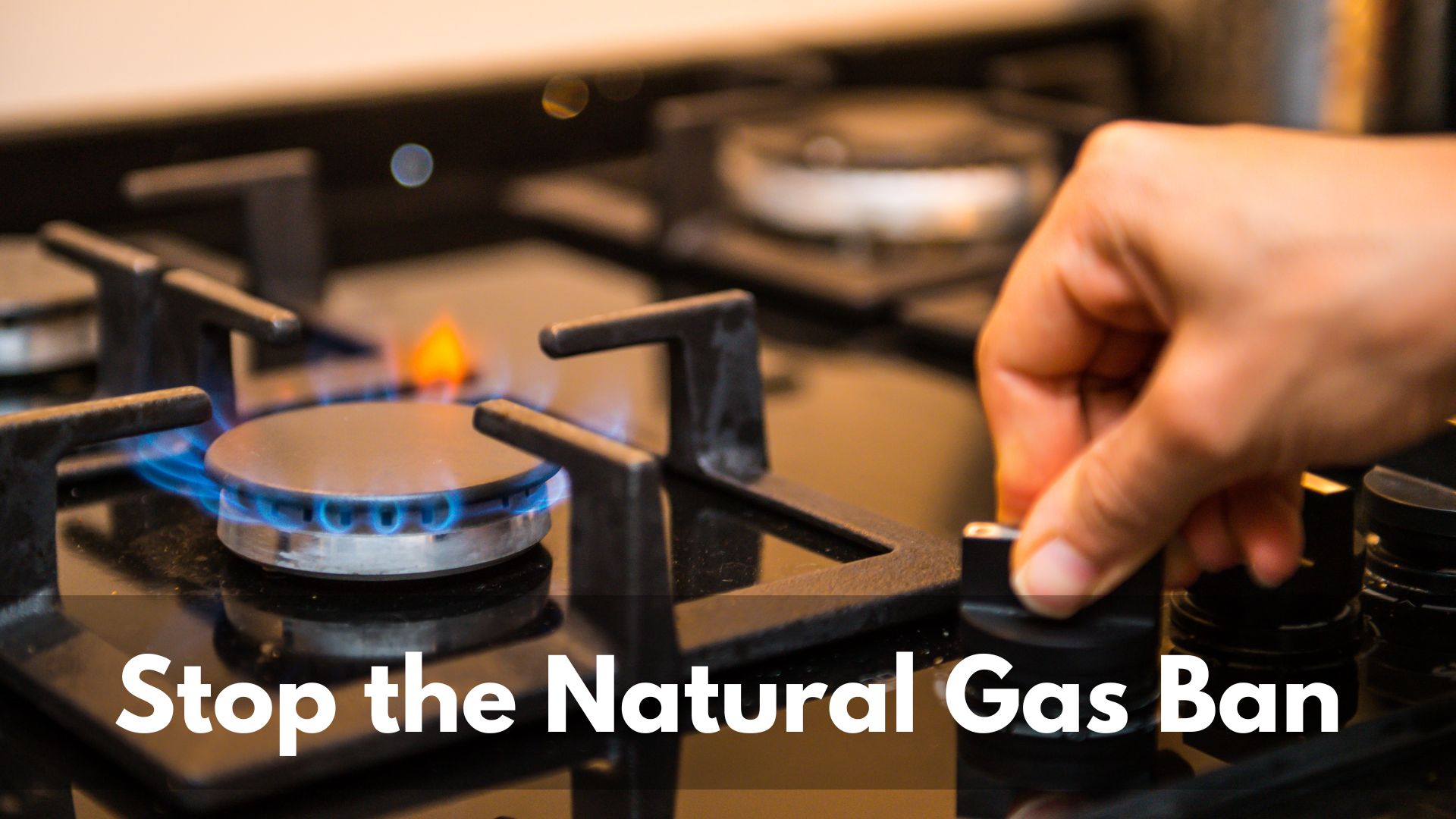 Stop the Natural Gas Ban